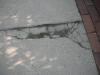 The concrete sidewalk has major cracks and deterioration. "Palos Park Hoe Inspector Photos"