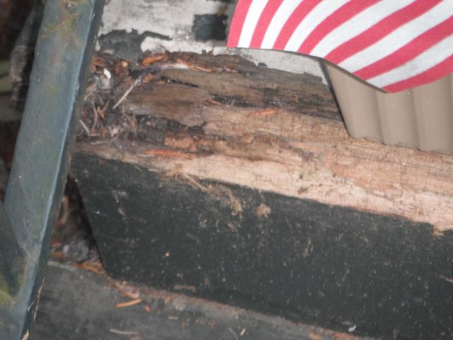 Rotted exterior stairs. Safety Hazard. "Cicero Home Inspection Photo"