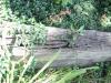 Rotted Landscape timber can potently attract wood destroying insects. (Lemont Home Inspector Photo)