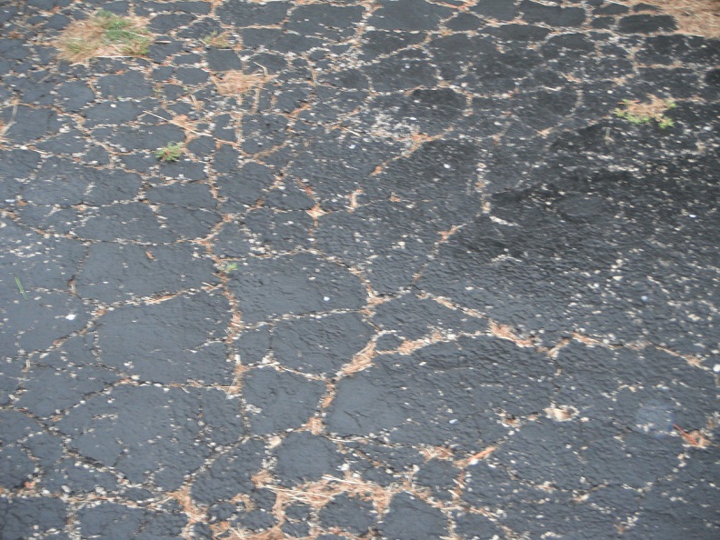 Asphalt Driveway major cracks and deterioration. "Joliet Home Inspection Photo"