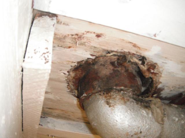 Leaking Toilet along with rotted subfloor.