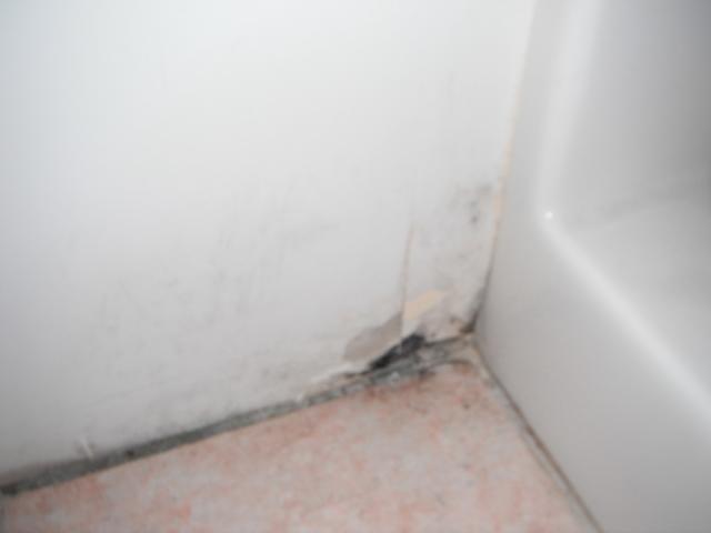 Water damaged wall right outside a shower. (Lansing Home Inspection Photo)