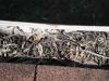 Clogged gutter "Oak Park Home Inspection"