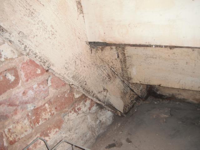 Rot on stairs and signs of water seepage in the basement."River Forest Home Inspection Picture"
