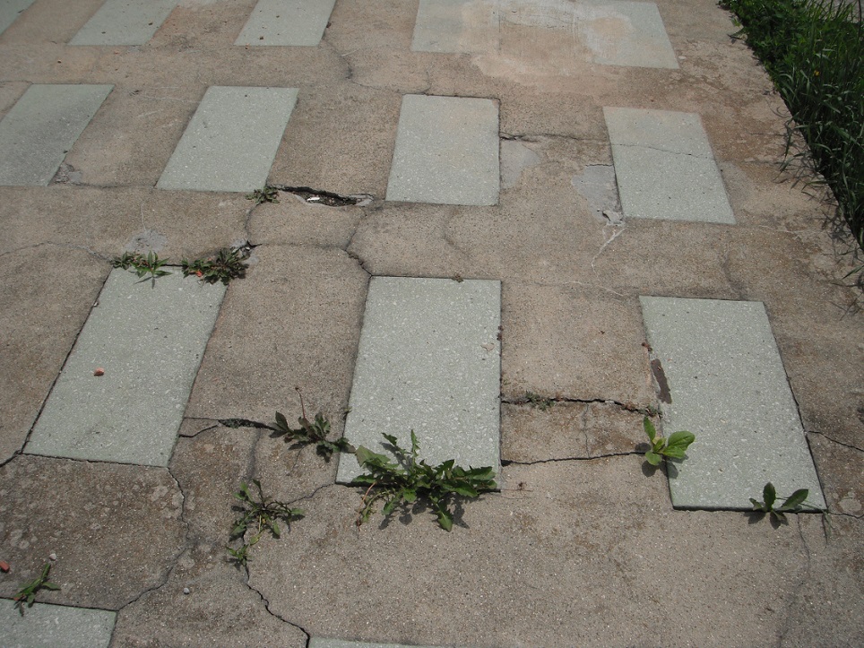 Severely cracked concrete patio. "Lemont Home Inspection"
