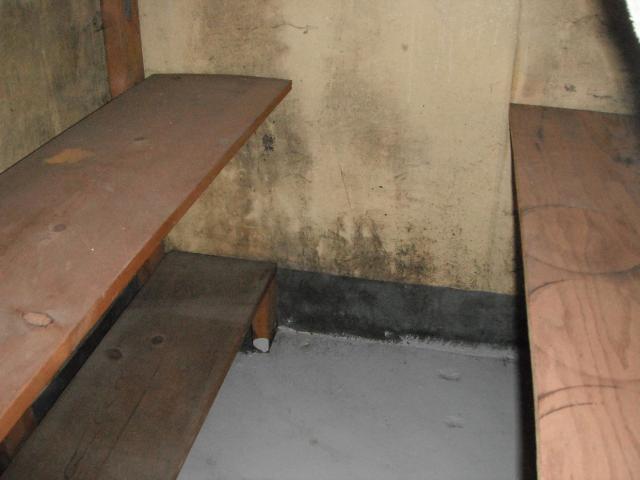 Signs of water seepage and mold. "South Holland Home Inspection Photo"