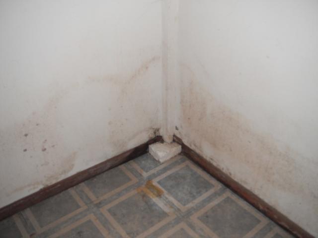Water and mold damage on wall. "Oak Forest Home Inspection"