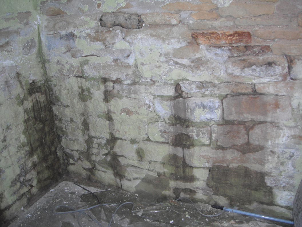 Stone Foundation has a lot of seepage. (La Grange Home Inspection Photo)