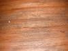 Severly worn wood floor. Needs to be refinshed. "Plainfield Home Inspector"