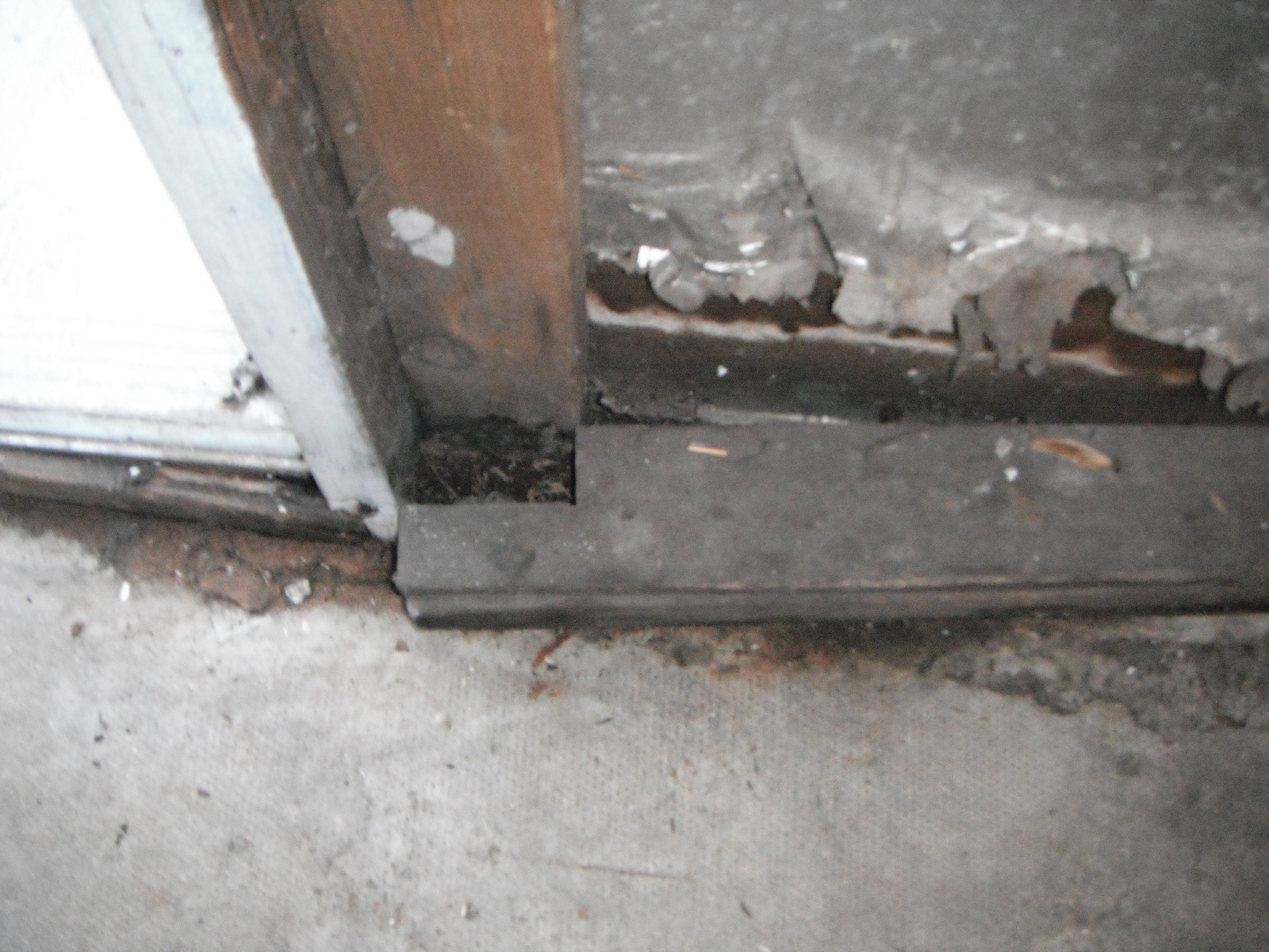 Rotted garage wall and sill plate. (Mokena Home Inspection)