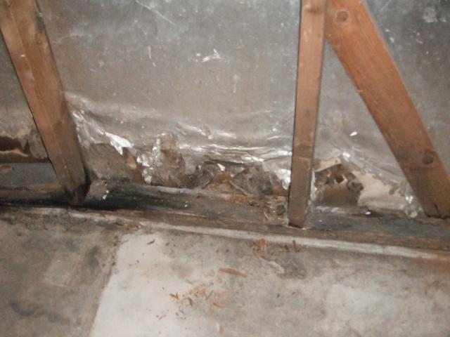 Rotted garage wall and sill plate. "Forest Park Home Inspection"