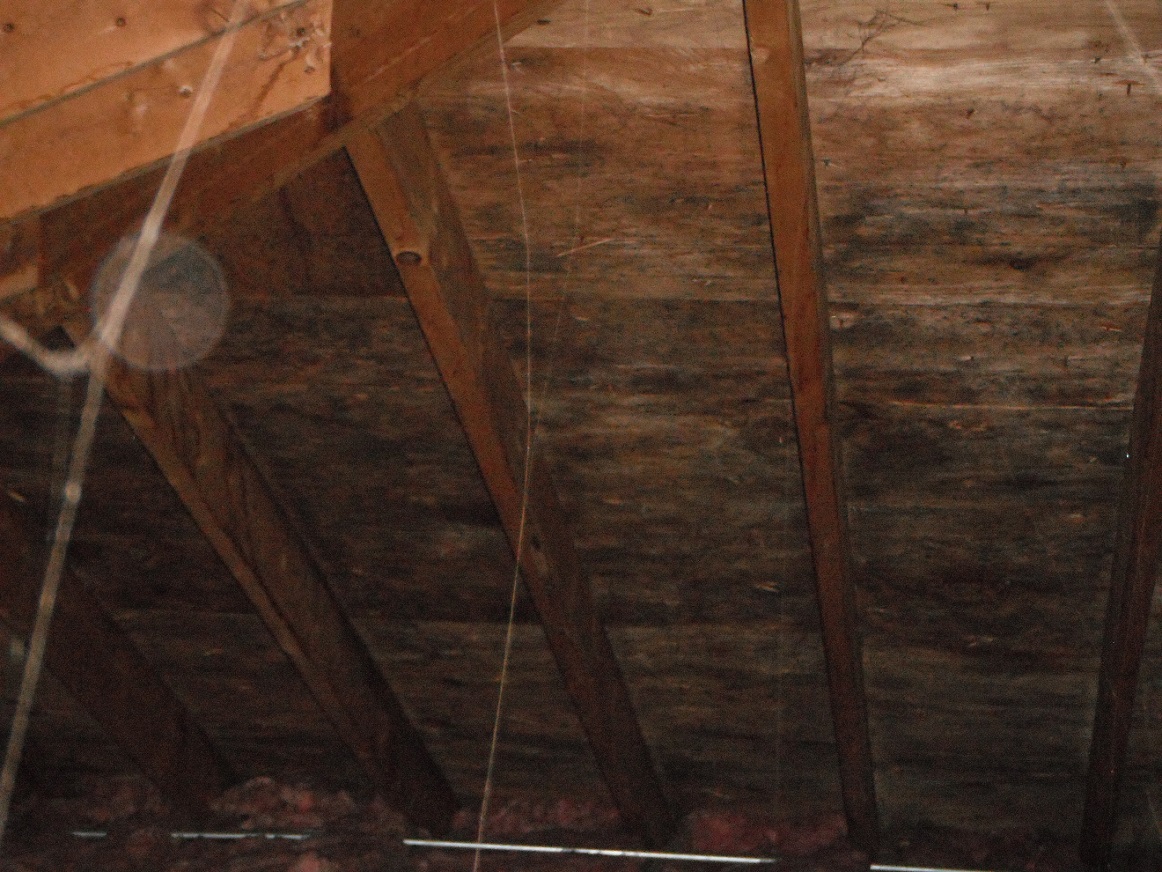 Mold on roof sheathing. Possible health hazard. "Orland Hills Home Inspection Photos"